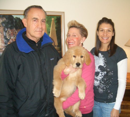24k goldens testimonials - bentley