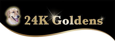 24k goldens logo